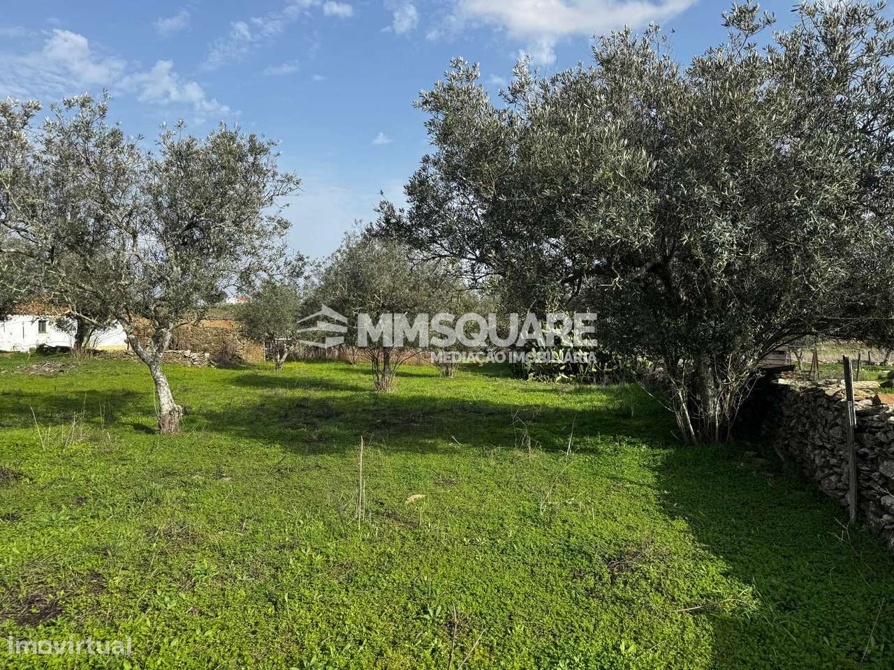 Quintinha T3 Venda em Ourique,Ourique-22