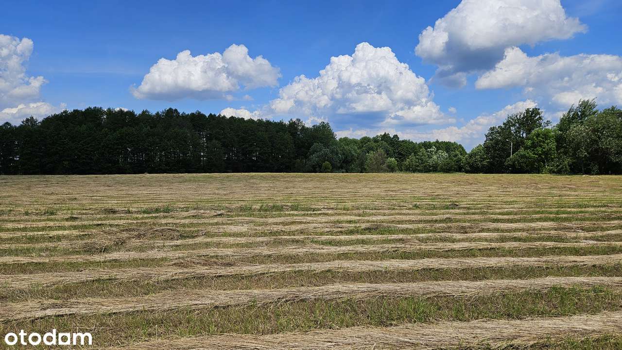 Sprzedam teren budowlany - Pełny obrazek: 4/5