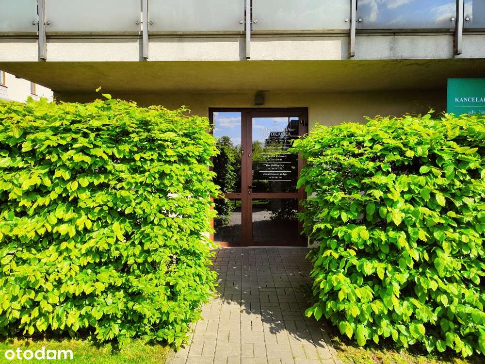 Mieszkanie/ biura/ gabinety 100 m2  + ogród, parter Zegara Słonecznego-14