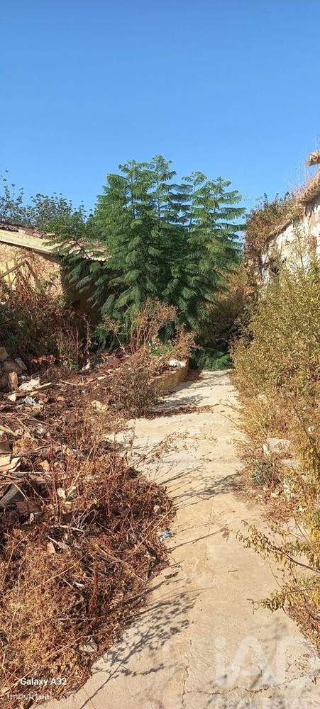 Casa / Villa T2 em São Brás de Alportel de 216 m2 - Grande imagem: 5/9