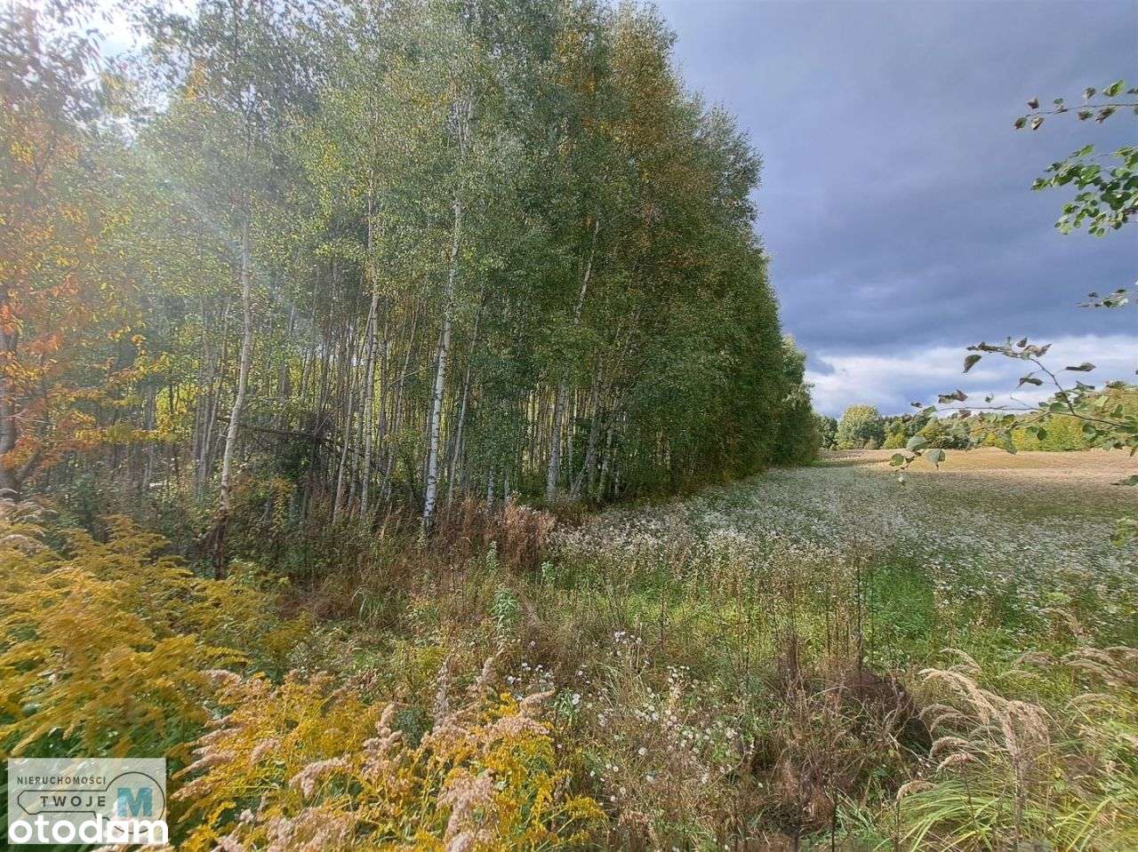 Nowa niższa cena! Działka w otoczeniu lasu! - Pełny obrazek: 4/8
