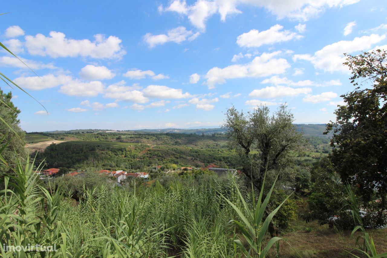 Terreno Para Construção - Moradia Isolada