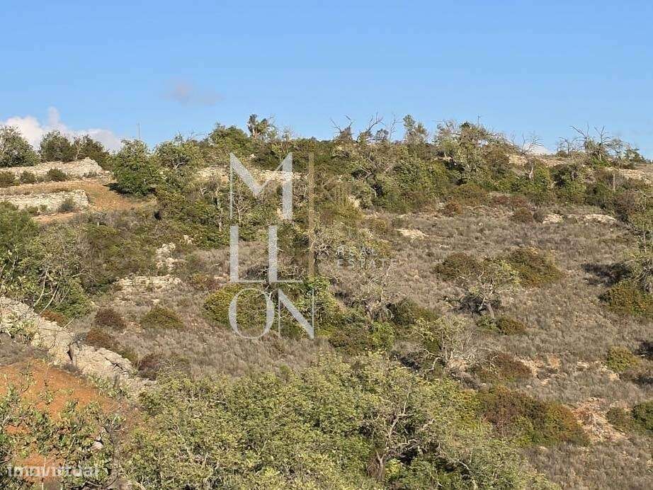 Terreno Rústico com Ruína e Vista Mar – 14.513 m2 | Excelente Oportuni - Grande imagem: 4/4