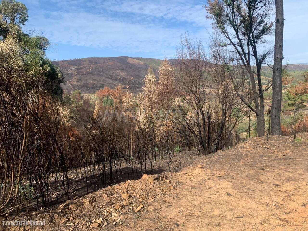 Terreno / Fundão, Telhado - Grande imagem: 3/5