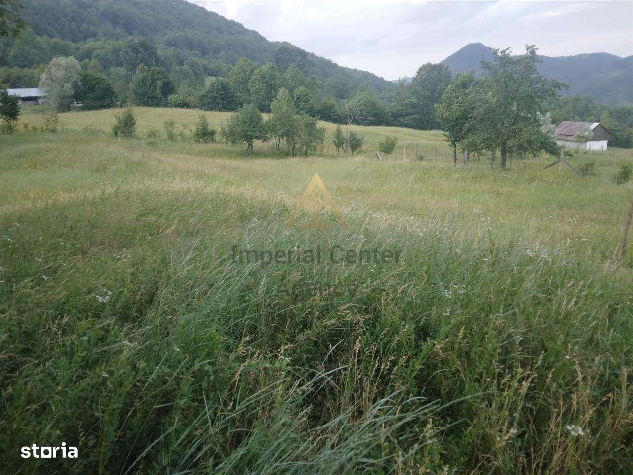 TEREN 2695 MP de vanzare in Statiunea TG OCNA - Imagine principală: 2/4