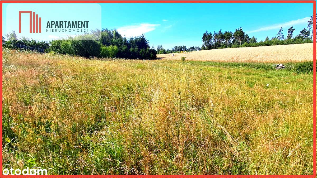 Duża ładna działka budowlana blisko miasta!! - Pełny obrazek: 2/10