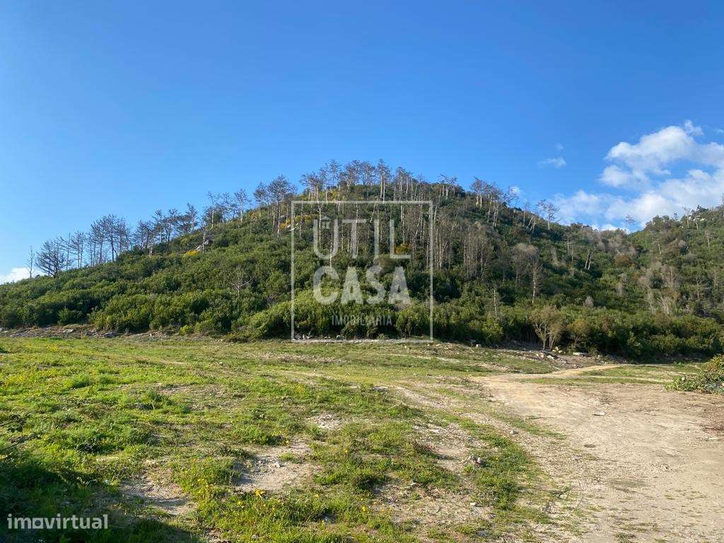 Terreno em Marinhas com 165000m2 - Grande imagem: 5/12