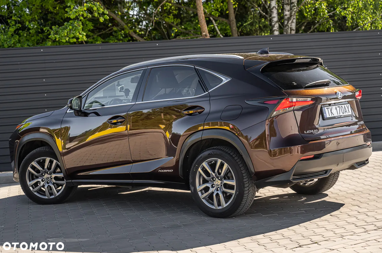 Lexus NX - 10