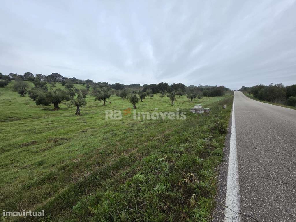 Terreno rústico com malha urbana - Vila do Paço, Torres Novas - Grande imagem: 2/10