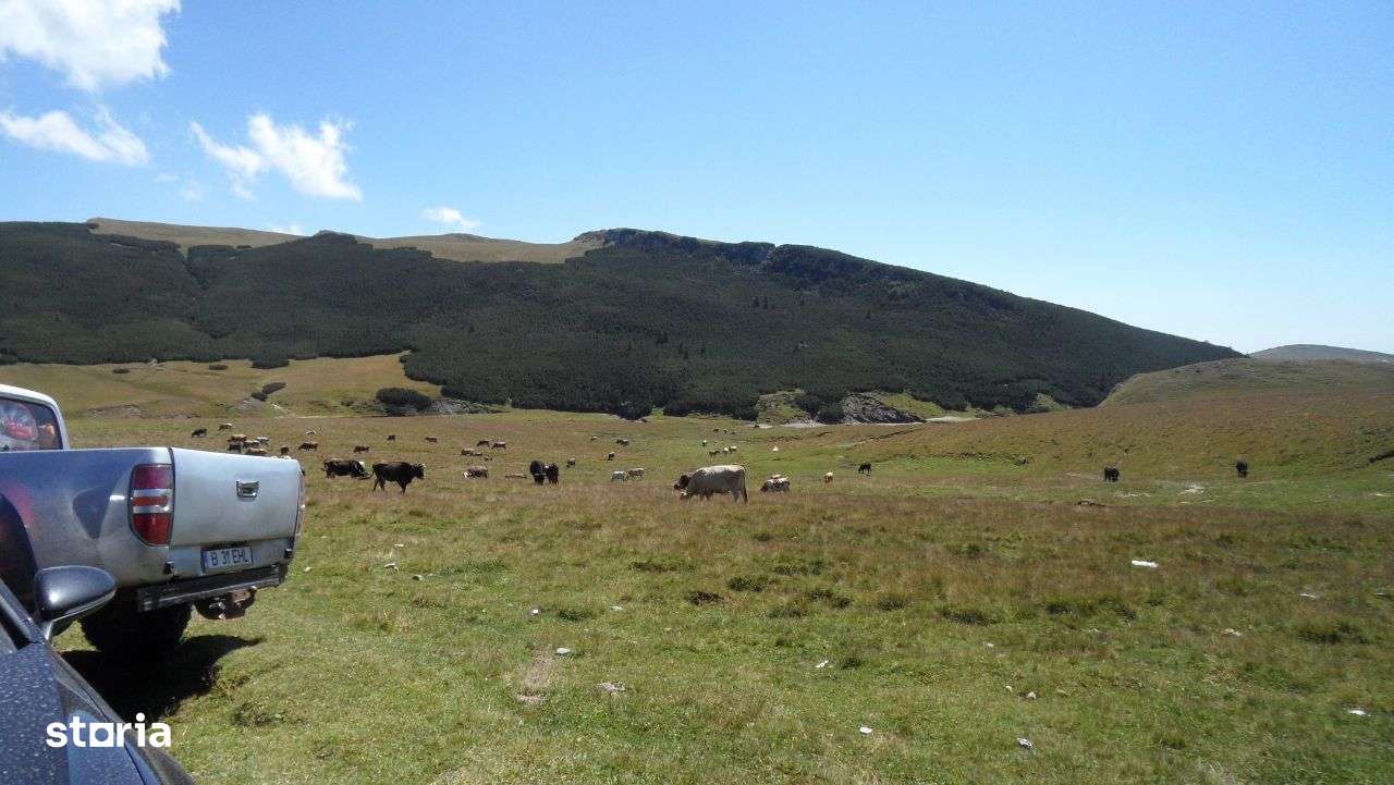 Teren Piatra Arsa - Imagine principală: 4/20