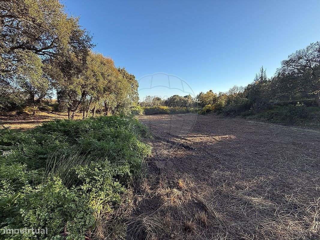 Terreno  para venda
