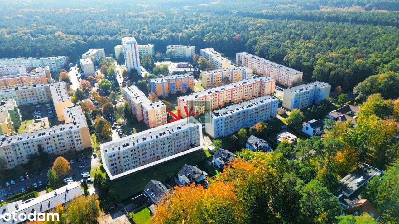 Roweckiego - Dwa Pokoje z balkonem Piwnicą-Police - Pełny obrazek: 4/16