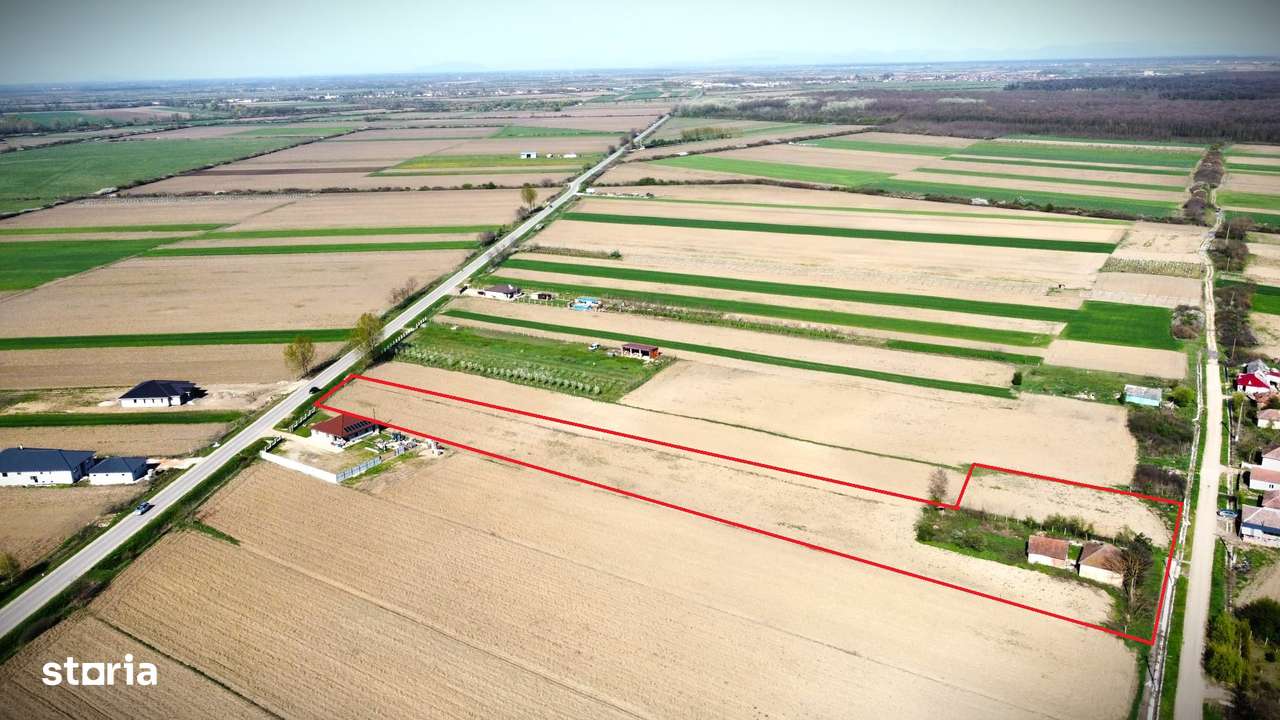 Teren Intravilan-7668mp-Ideal pentru parcelare-5