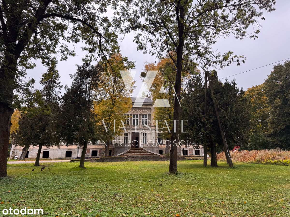 Pałac pod Toruniem |6ha parku |medyczno-hotelarski