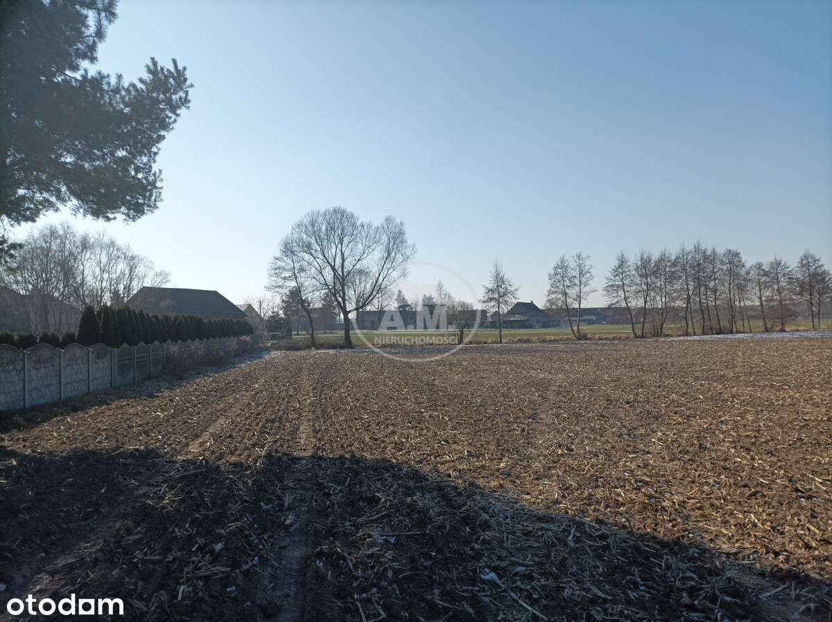 Działka idealna pod budowę wymarzonego domu - Pełny obrazek: 4/5