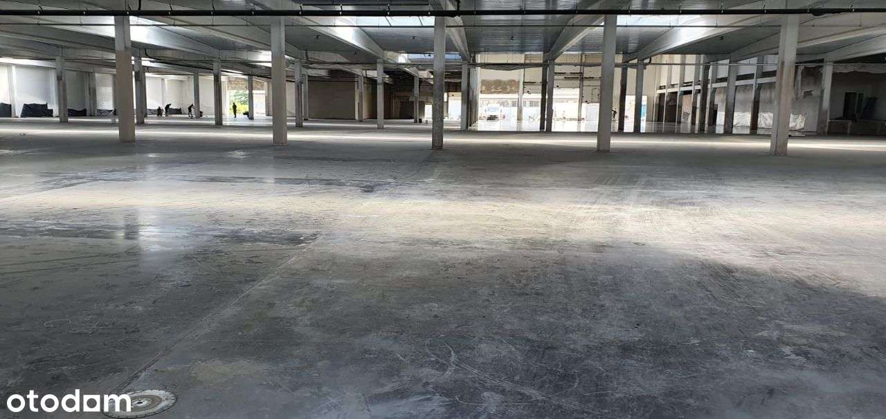 Obiekt magazynowo - produkcyjny w Świebodzinie - Pełny obrazek: 4/9