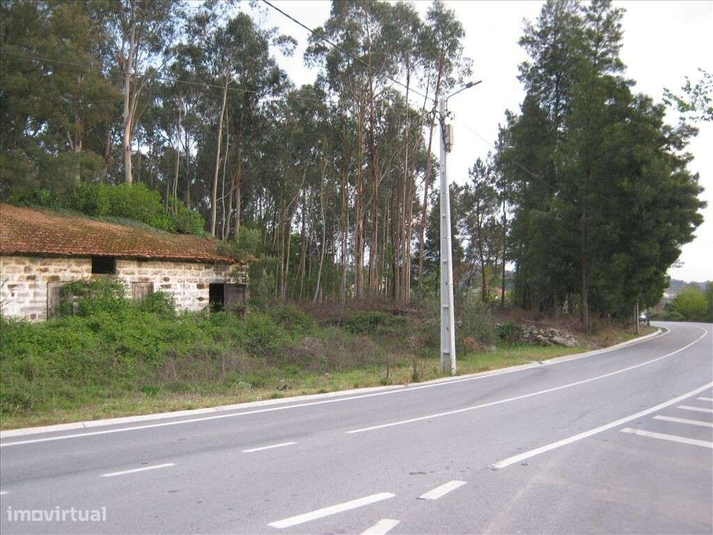 Moradia p/ reconstruir com terreno - Grande imagem: 4/5