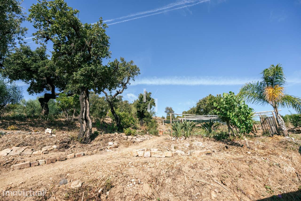 Terreno rústico para venda em Barão de São Miguel, Vila do Bispo - Grande imagem: 4/16