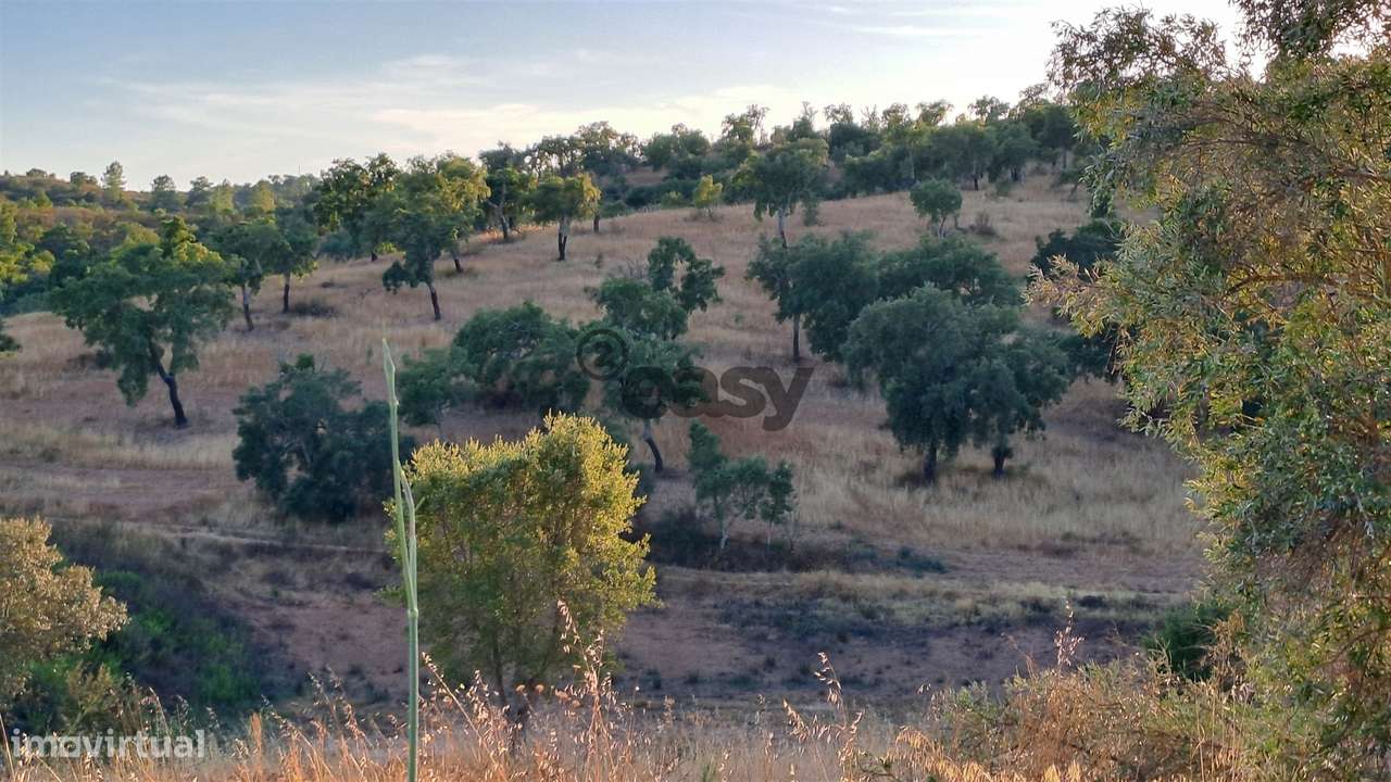 TERRENO RÚSTICO COM 6,82 Hectares em Alqueva com Ruína e Poço - Grande imagem: 5/14