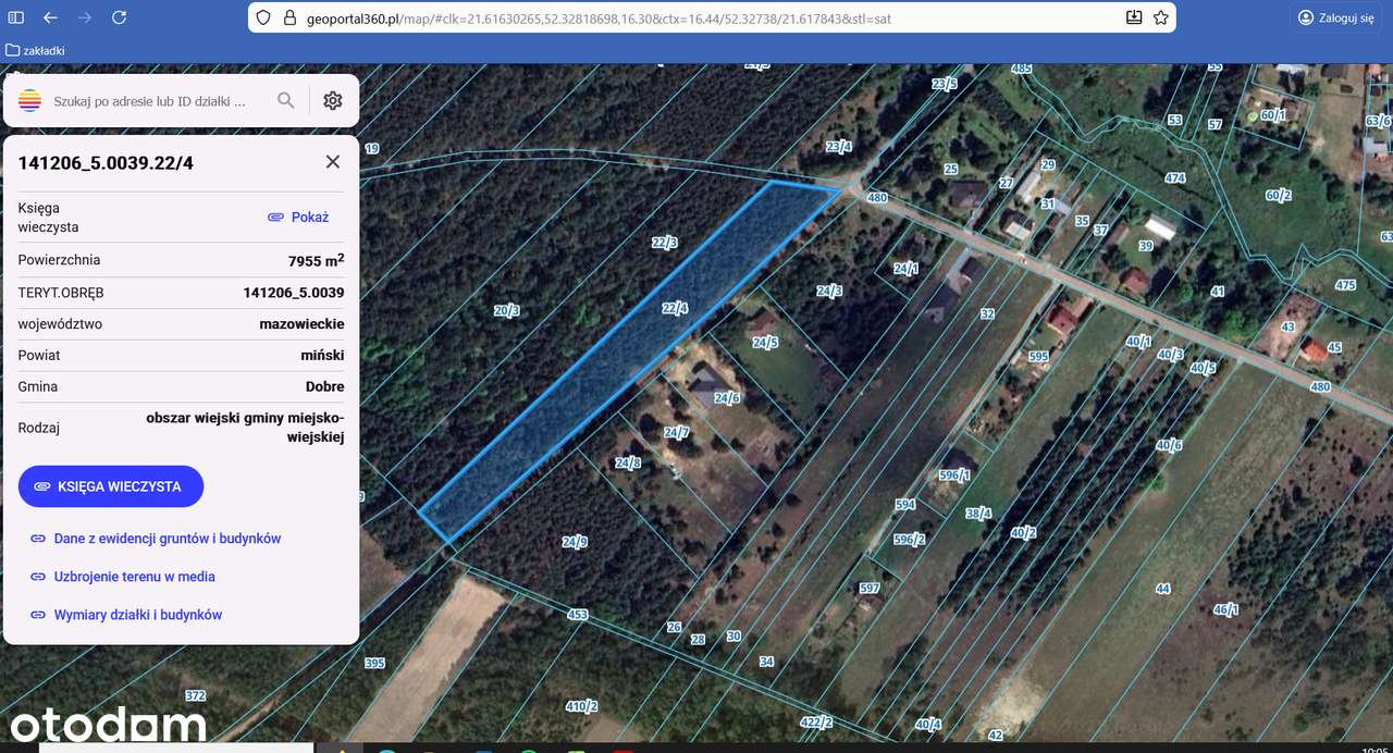 Piękna działka Wólka Kokosia, gmina Dobre - Pełny obrazek: 4/5