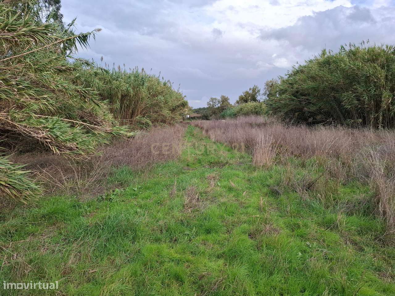 Terreno rústico - 5312m² - Asseiceira Grande - Grande imagem: 3/10