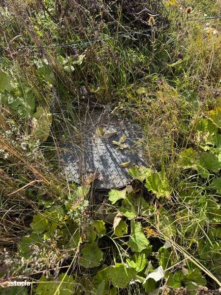 Teren intravilan Balcesti - Imagine principală: 5/5