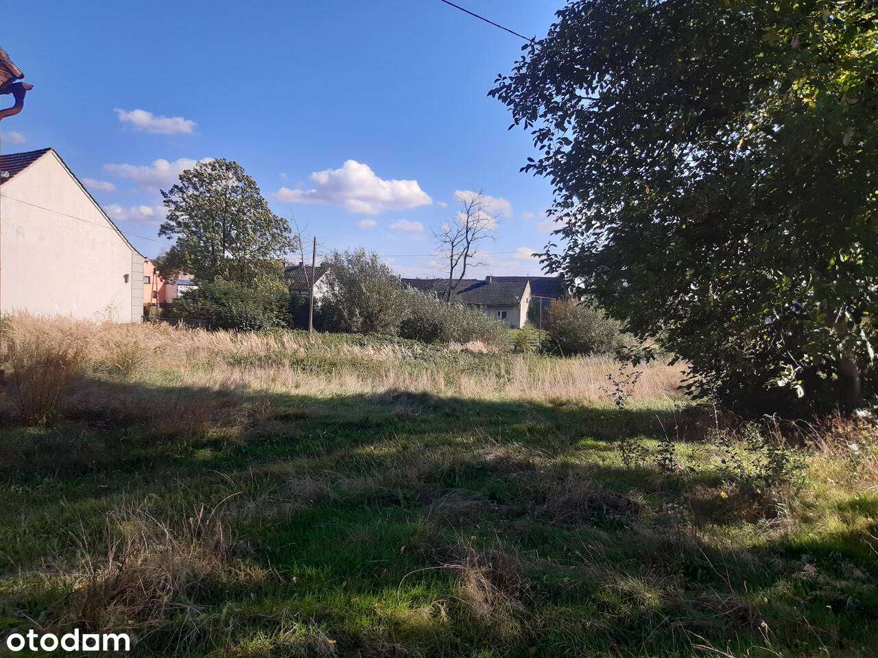 Dom do remontu z dużą działką (możliwość podziału)-10