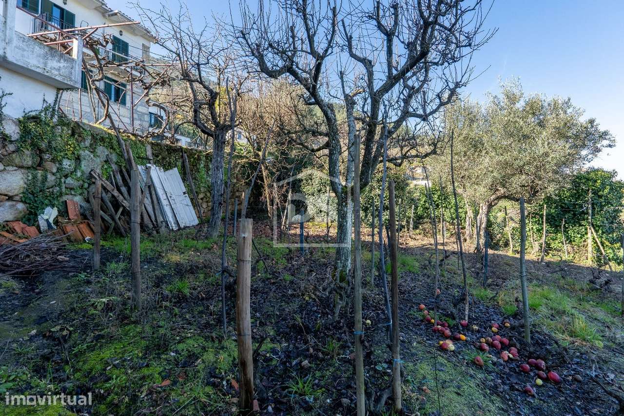 Recanto Encantado, Távora - Tabuaço-16