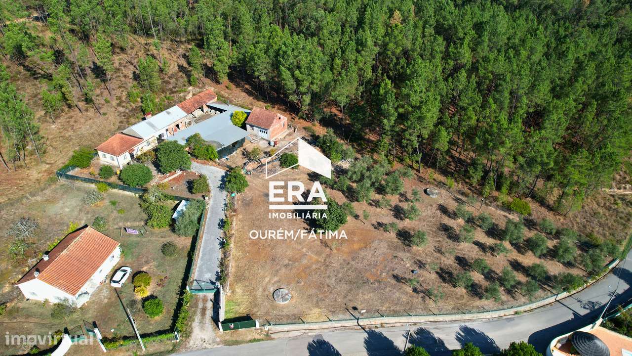 Moradia T3 implantada num terreno com 3.855m2 em Casal Domingos João-27