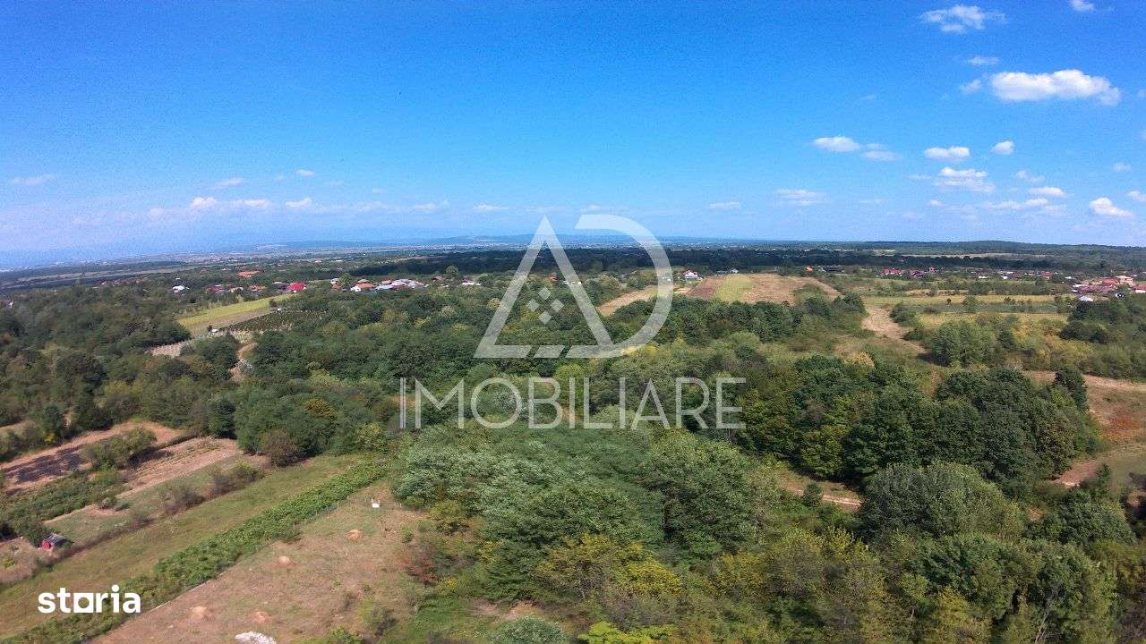 Teren intravilan Dragutesti – Urechesti - Imagine principală: 5/11