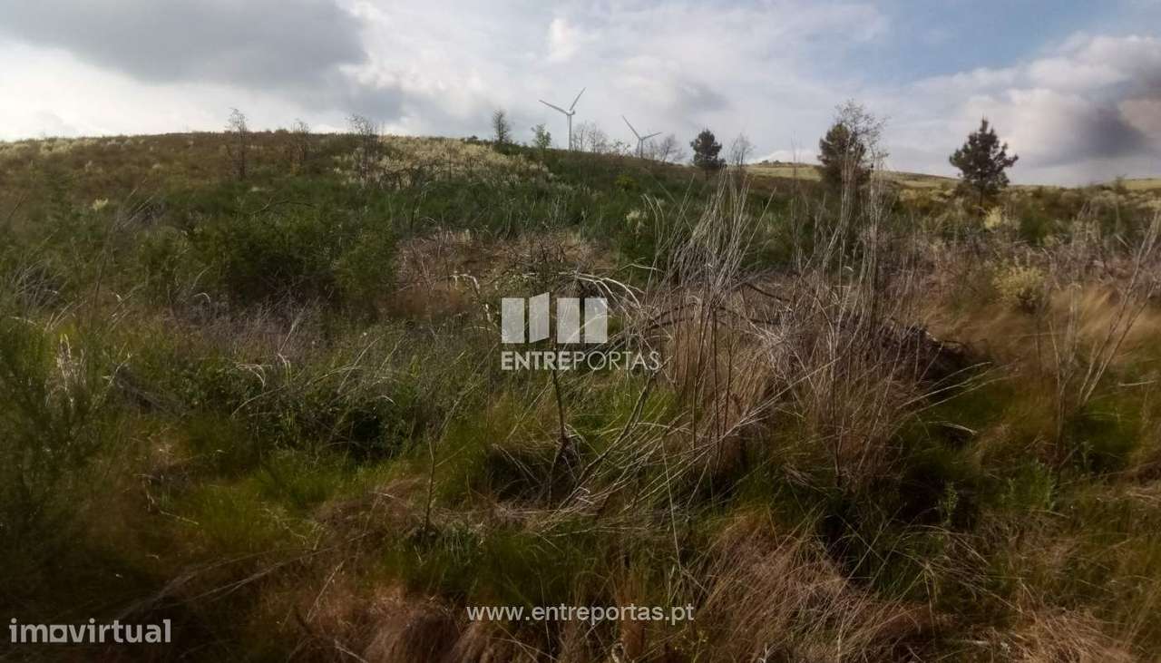 Venda Terreno com 6400m2, Gestaçô, Baião - Grande imagem: 2/17