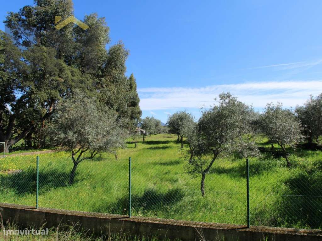Quintinha de 9.000m2 em Proença-a-Velha. - Grande imagem: 4/32