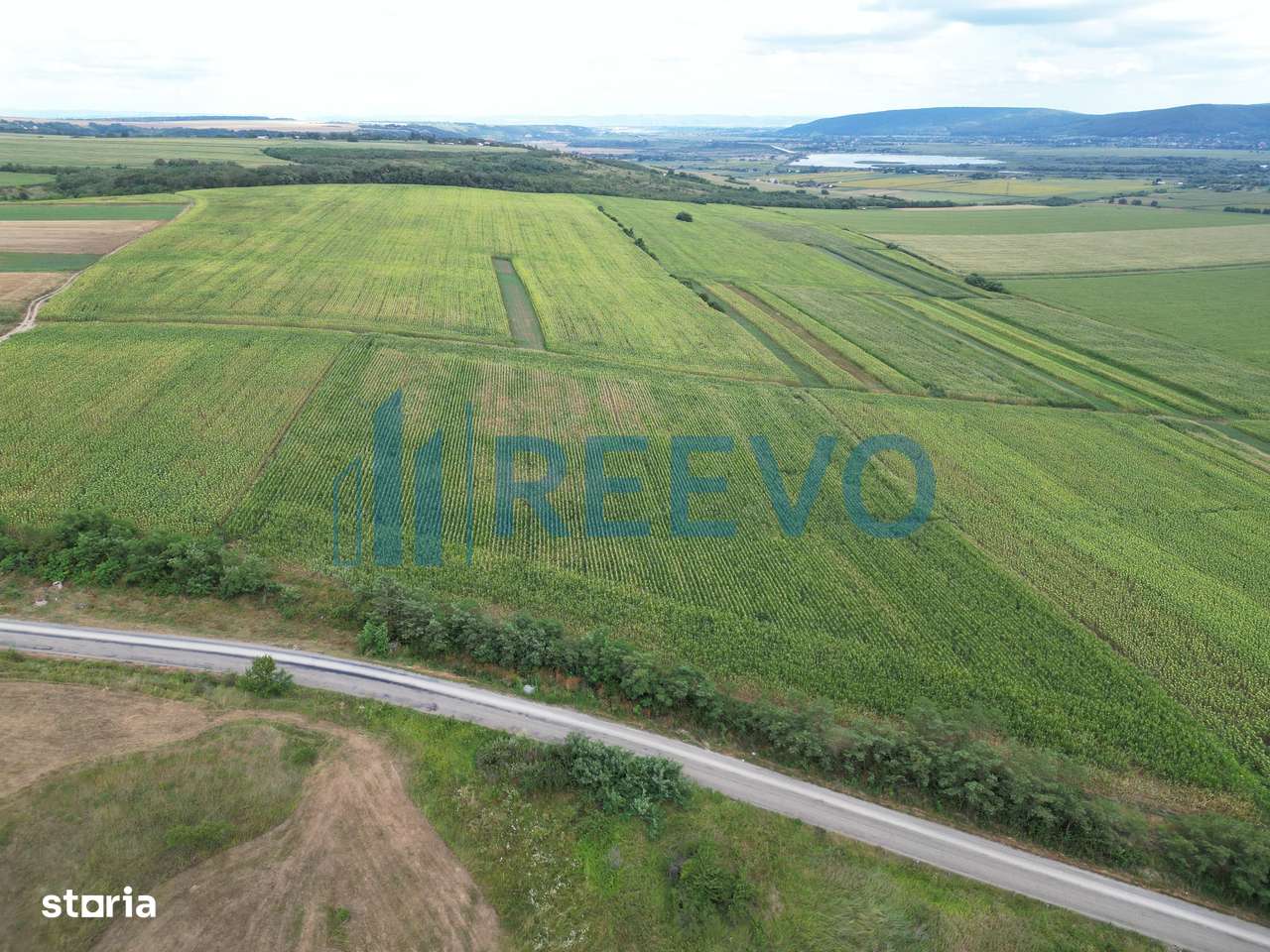 Teren de 3.600 mp Racova - Imagine principală: 5/10