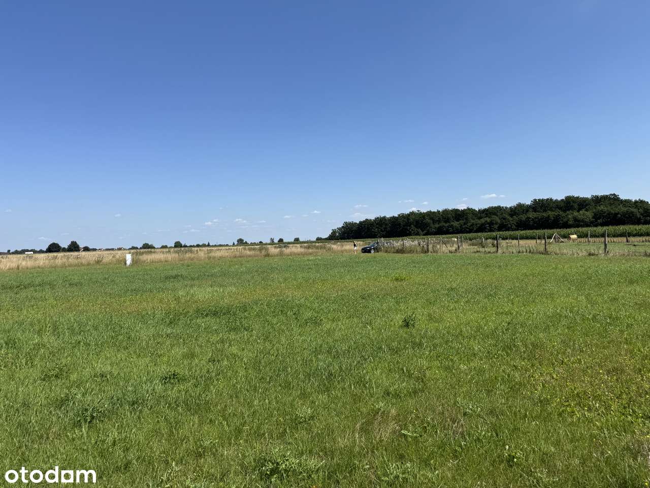 Piękna działka w malowniczym miejscu z warunkami zabudowy - Pełny obrazek: 4/6