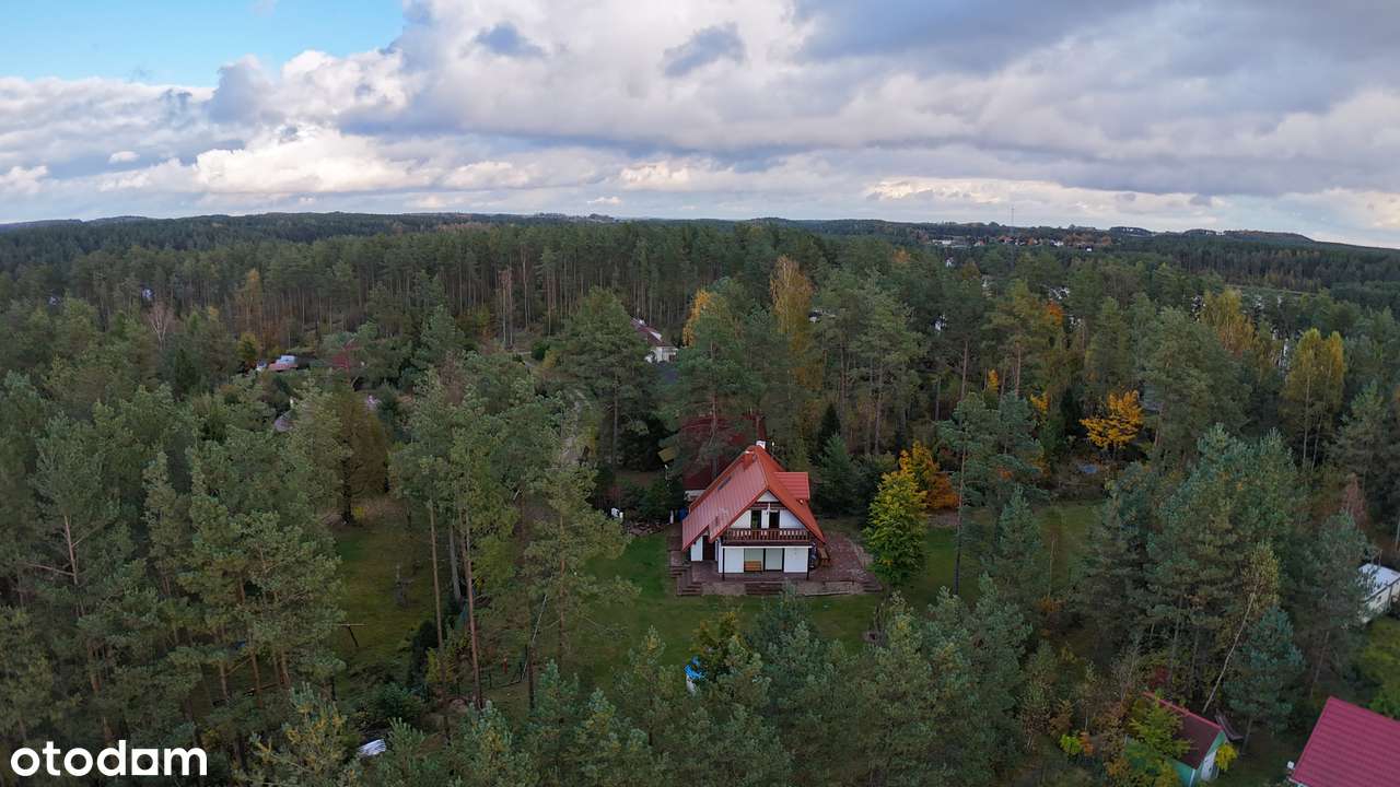 Dom w sercu Kaszub – Twoje prywatne miejsce harmonii | Las  | Jeziora-6