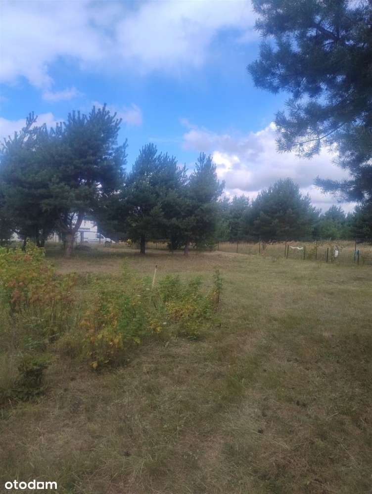 Piękna działka w Rakowni Gmina Murowana Goślina-15