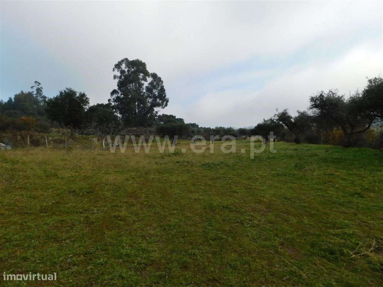 Quinta T1 / Fundão, Mata da Rainha - Grande imagem: 2/14