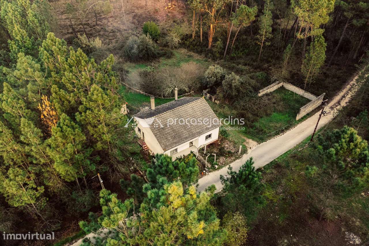 Moradia isolada térrea com anexos e terreno - Grande imagem: 2/22