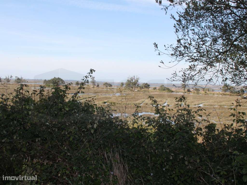 Terreno para construção de moradia com vistas Ria - Passadiços - Grande imagem: 3/9