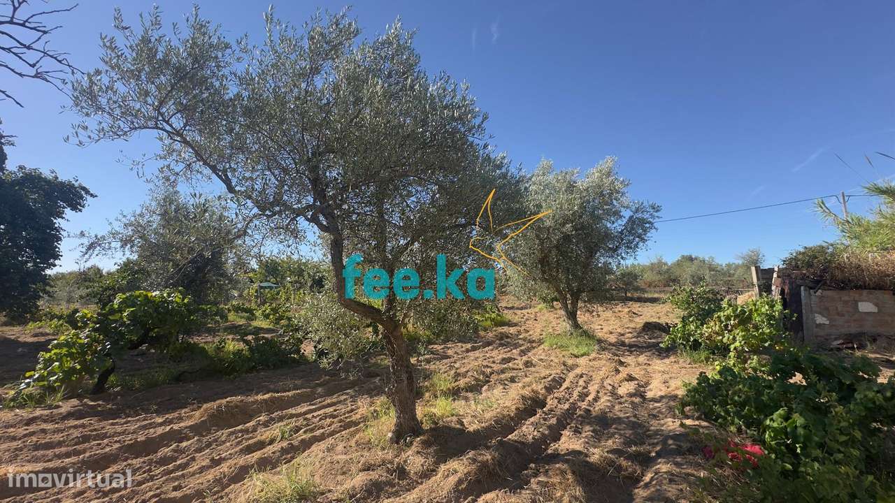Terreno em Ladoeiro-15