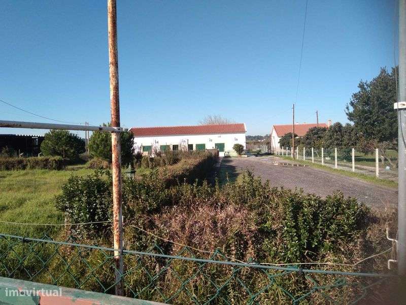 Moradia C/ 1500m2 terreno na frente para  comercio em  Brejos da Moita - Grande imagem: 5/5