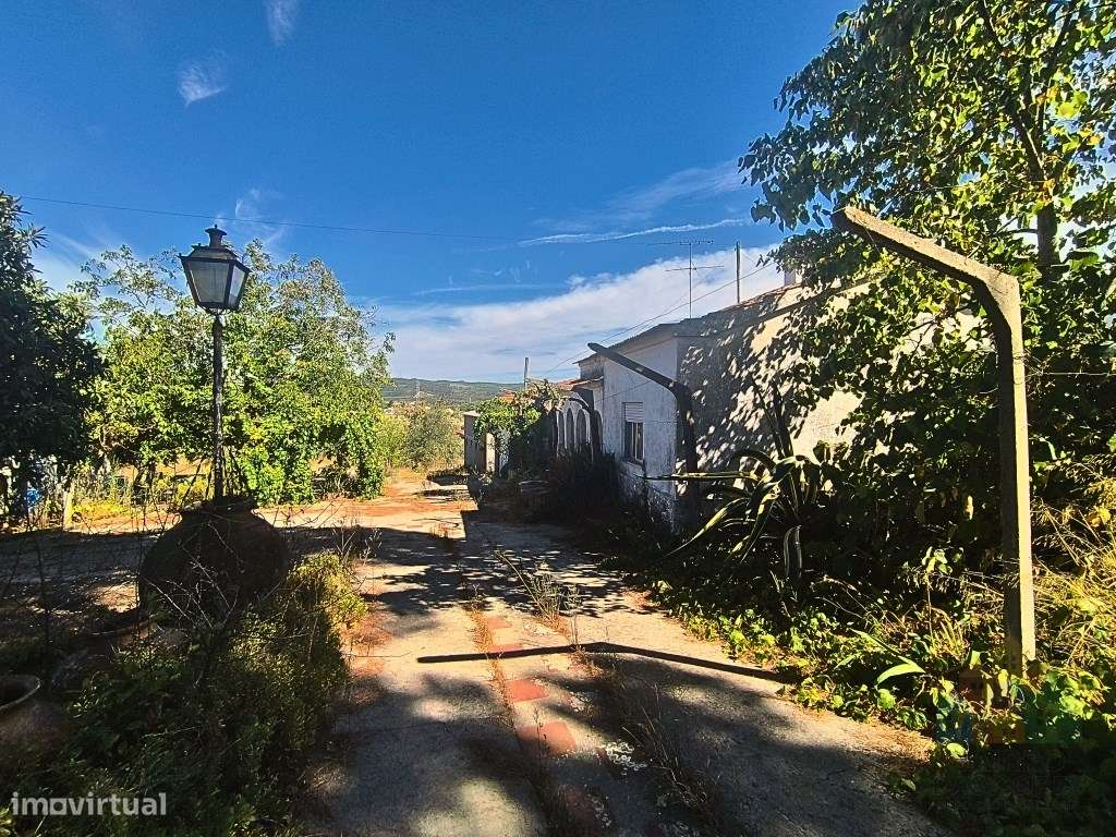 Quinta com 16 mil m2 em Tomar - Grande imagem: 4/16