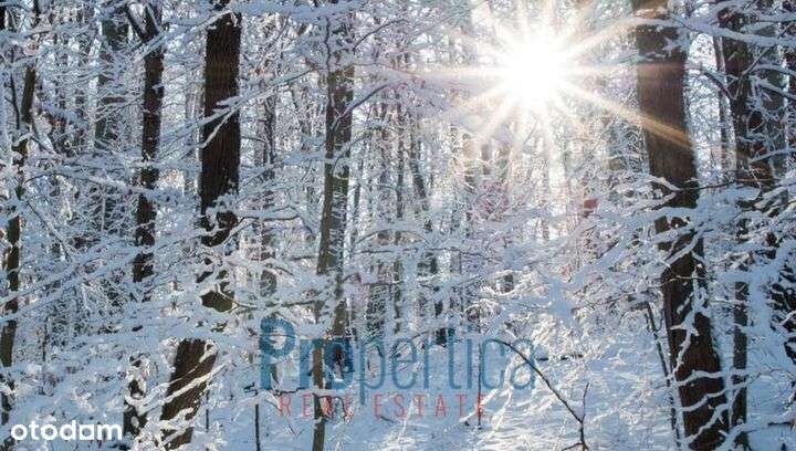 Zadbana Brda 50m od jeziora Omulew. Strefa ciszy. - Pełny obrazek: 5/18