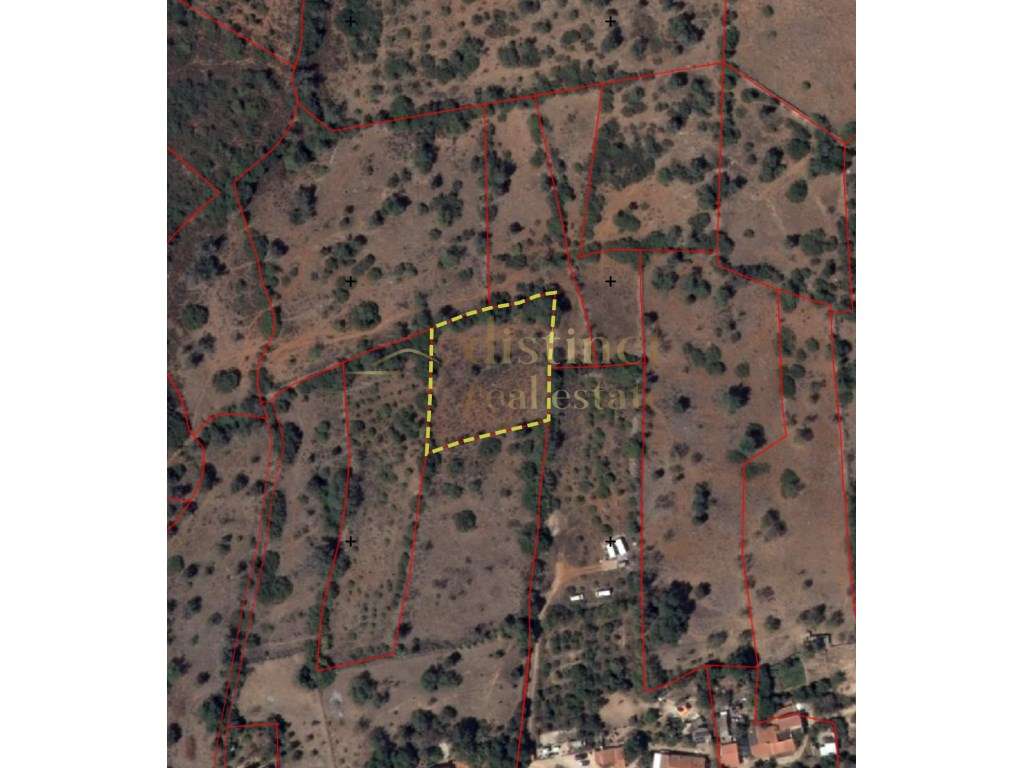 Terreno rústico com 2.240 m² em Faxelhas, próximo de Silves - Grande imagem: 5/8