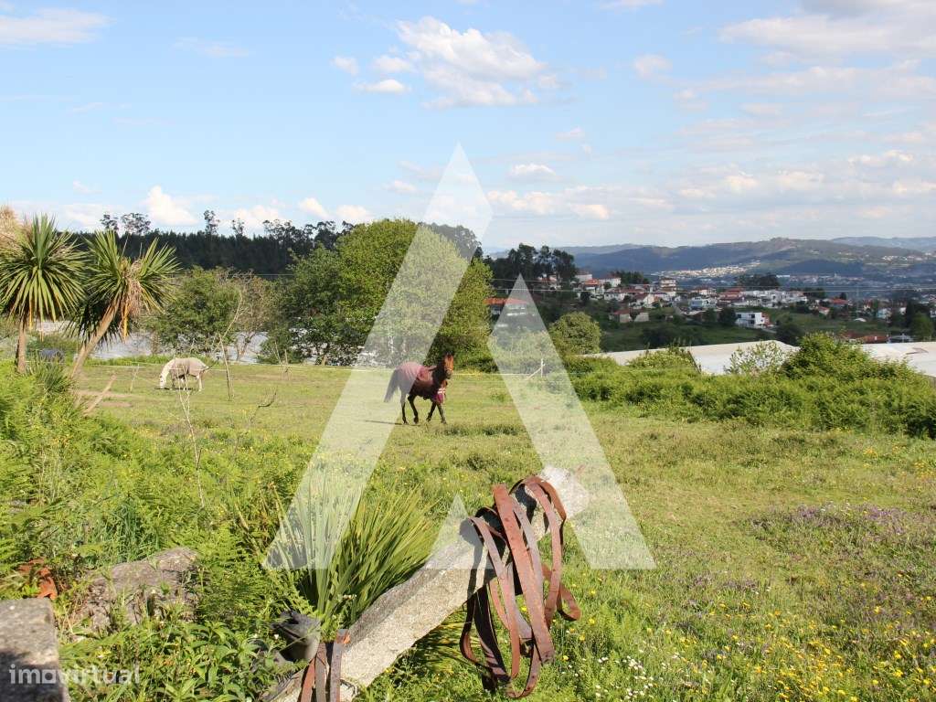 Quinta T6 histórica para recuperação, Guimarães.-25