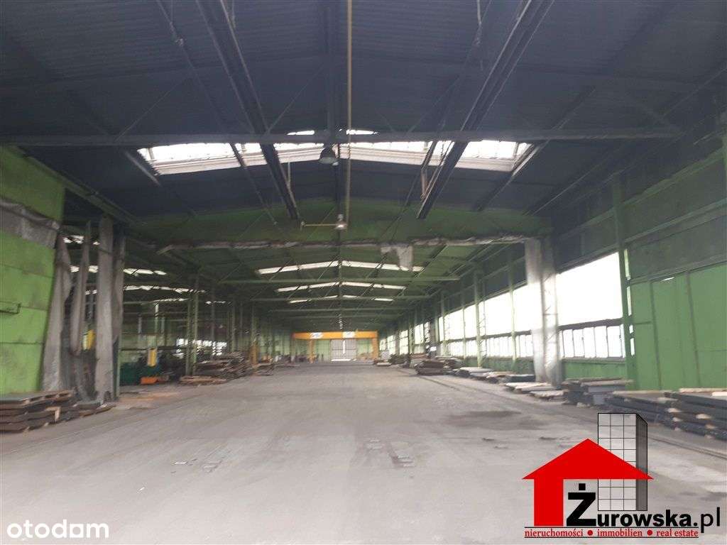 Hala/Magazyn, 4 000 m², Myszków - Pełny obrazek: 4/7