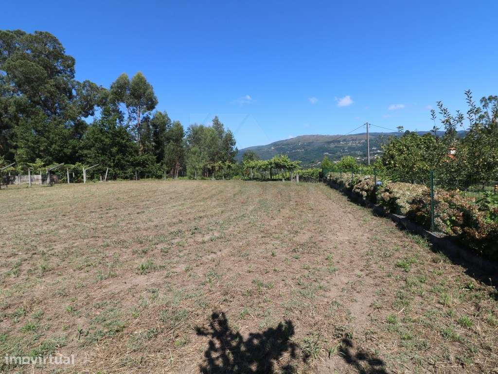 Terreno com 1,5 hectares na Gandra - Grande imagem: 2/19