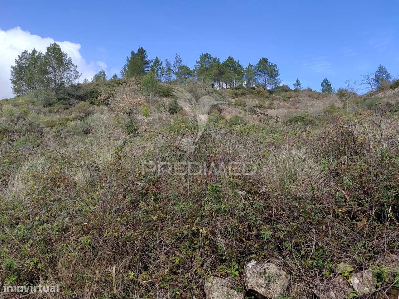 Terreno urbano para construção de moradia em Ribafria - Grande imagem: 5/6