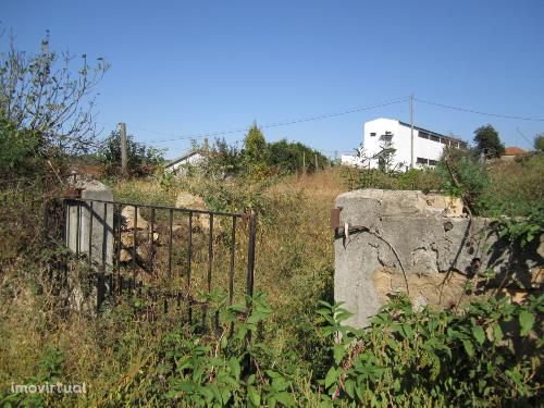 Terreno  Venda em São Roque,Oliveira de Azeméis