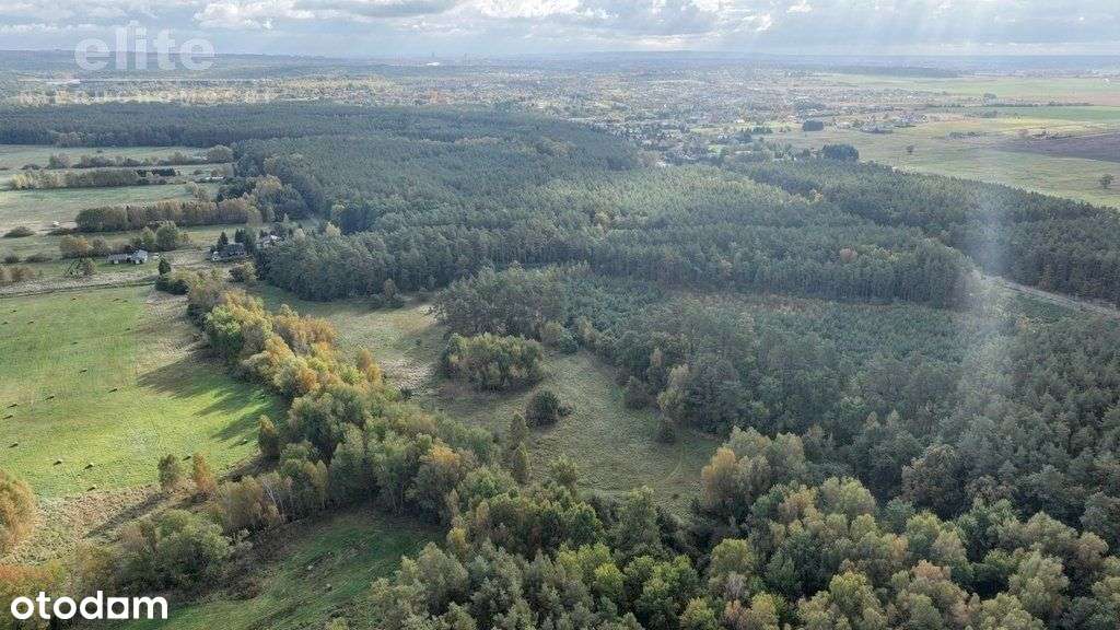 Działka z warunkami zabudowy 965m2 Dobra - Pełny obrazek: 5/6